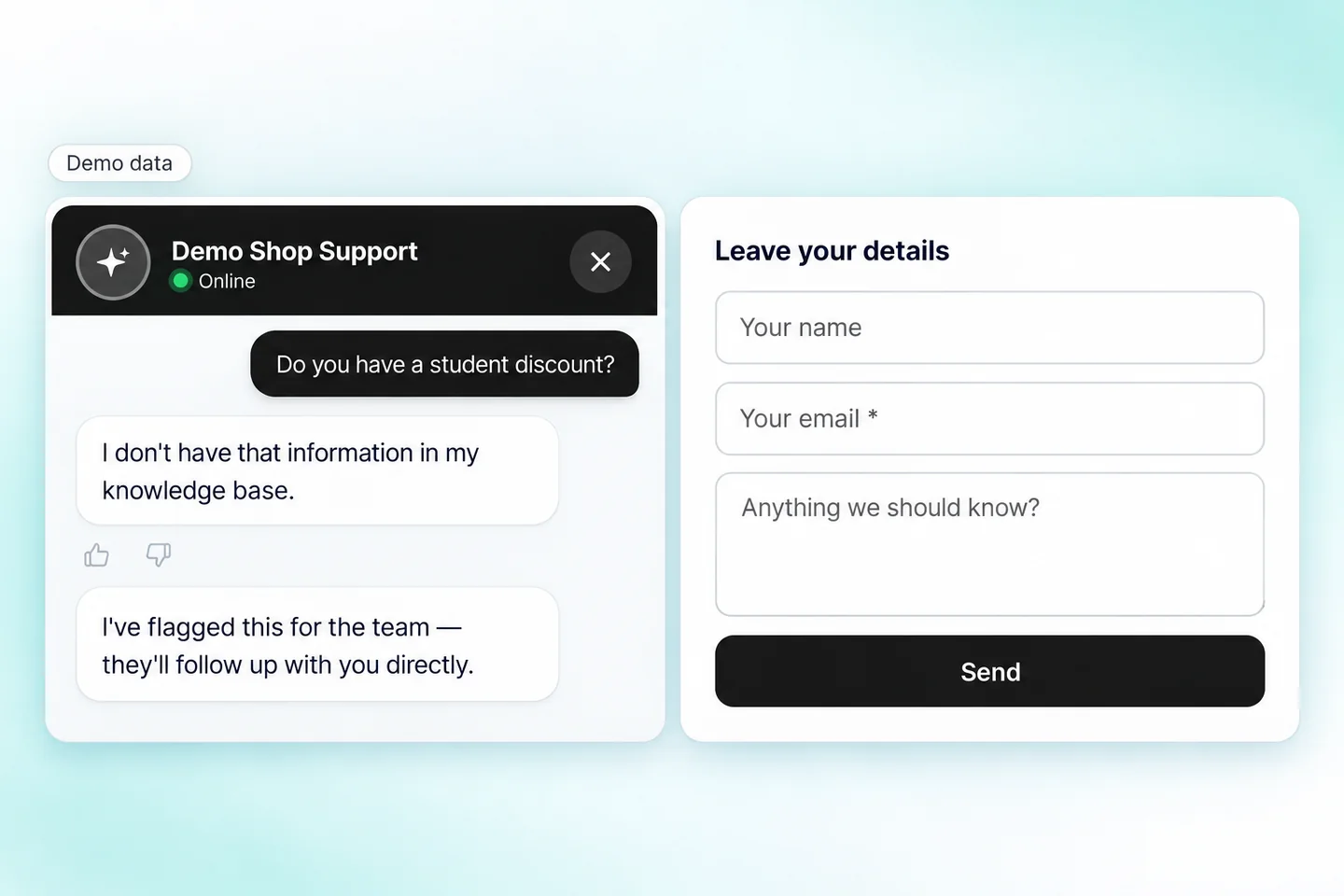 Demo Shop Support says the information is missing and offers a form for a name, email and message.